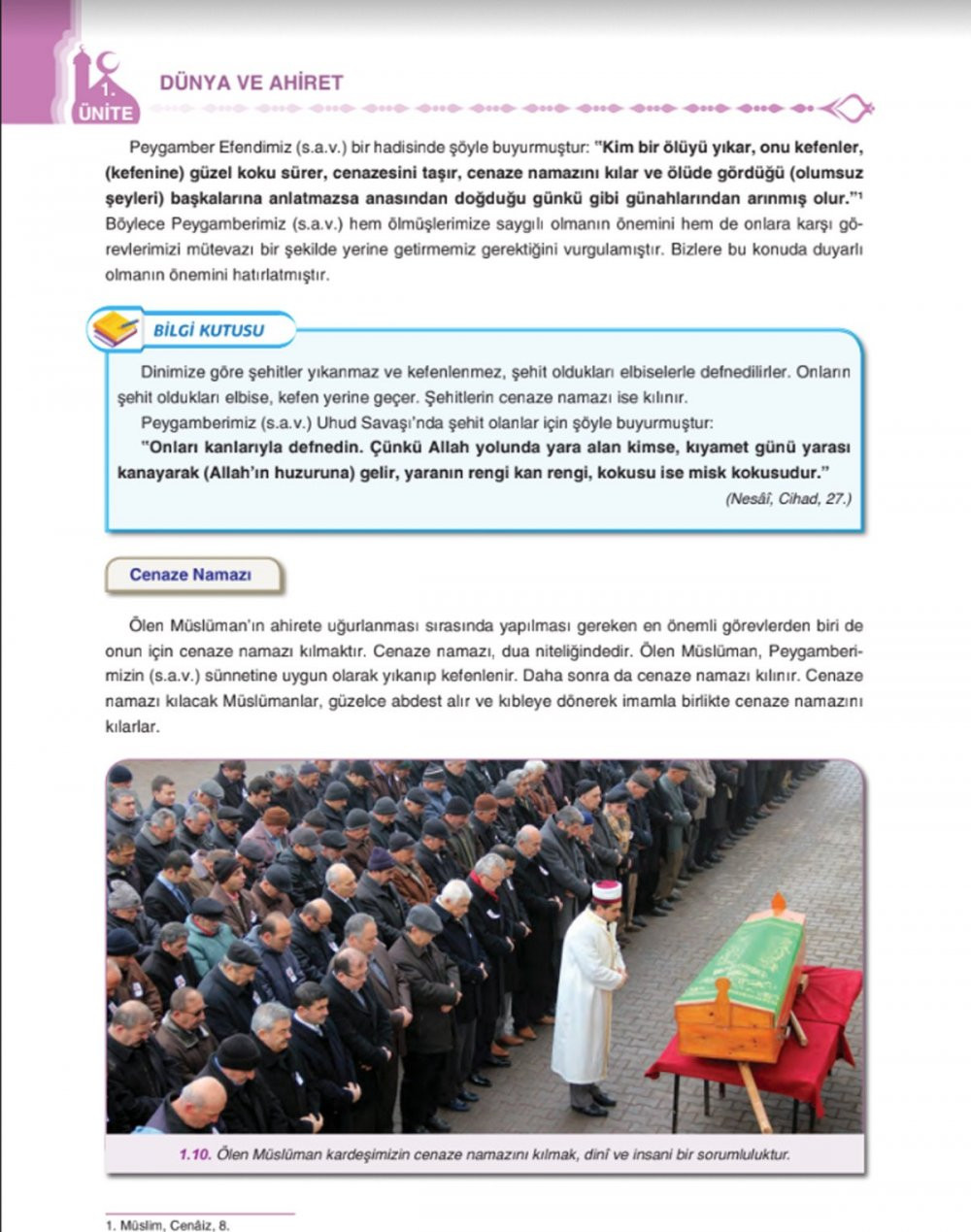 Kefenli, kabirli, tabutlu, cehennemli eğitim d&ouml;nemi - Resim : 1