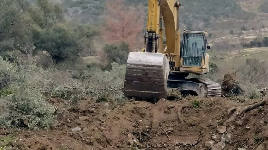 Zeytin ağaçlarına sahip çıkan Akbelen köylülerine müdahale - Resim : 1