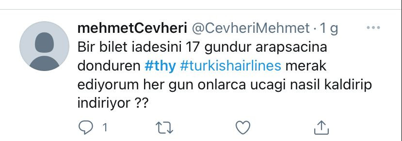 Mağduriyet yaşayan yurttaşlardan THY'ye isyan - Resim : 2