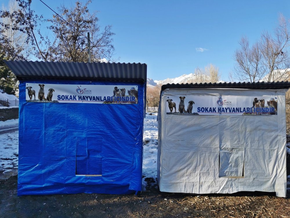 CHP'li belediye başkanı sokak hayvanları için makam aracını sattı - Resim : 2