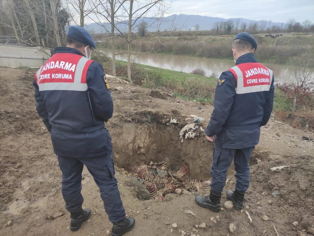 Baba ile oğul yine basıldı; iğrenç görüntüler - Resim : 2