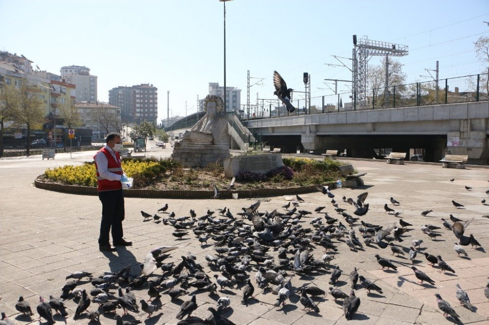 Kartal Belediyesi sokak hayvanlarını unutmadı - Resim : 7