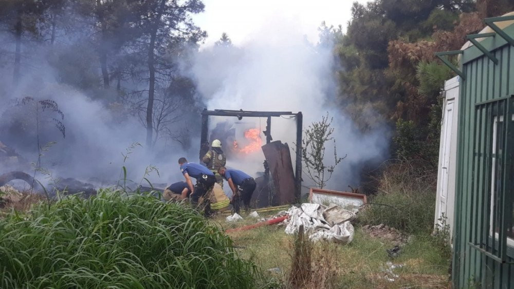 İstanbul'da orman yangını - Resim : 1