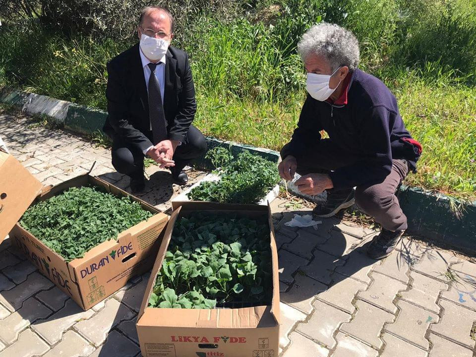 CHP'li belediyeler arasında tarım dayanışması - Resim : 1