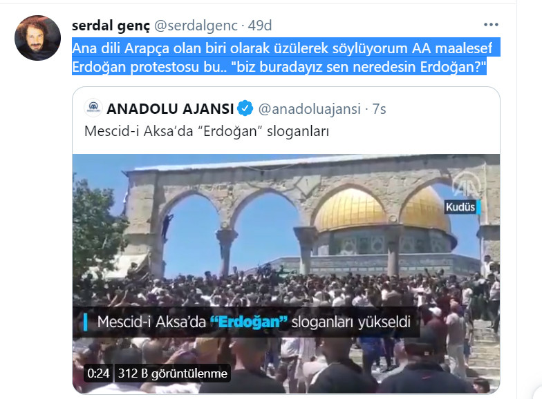 Filistinlilerden Erdoğan protestosu - Resim : 1