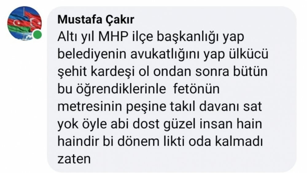 MHP'li yöneticiden İYİ Parti Lideri Meral Akşener'e ağır hakaret ve küfürler... - Resim : 1