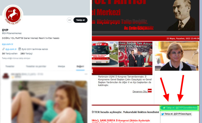 Siyasete dönmek isteyen Çiller'in eski partisi DYP, cinsel içerikli video beğendi - Resim : 1
