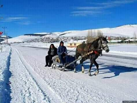 Eksi 35&rsquo;i g&ouml;ren Kars'ta &ccedil;eşmeler dondu - Resim : 3