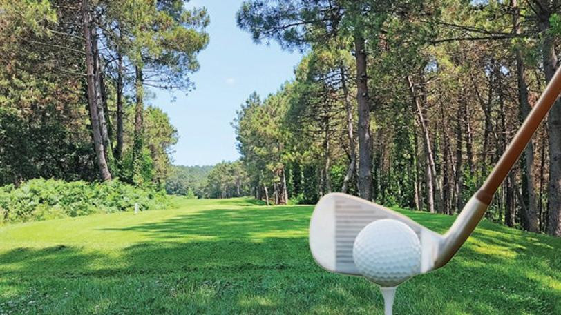 Sedat Peker gündeme taşımıştı: Golf sahası yapacaklar - Resim : 1