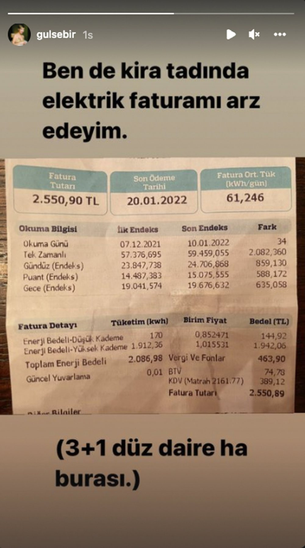 Ünlü oyuncu Gülse Birsel de elektrik zammına isyan etti: Kira tadında fatura - Resim : 1