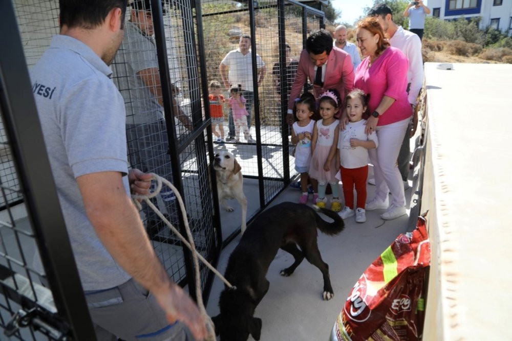 Bodrum'da belediyeden anaokulu öğrencilerine sürpriz - Resim : 1