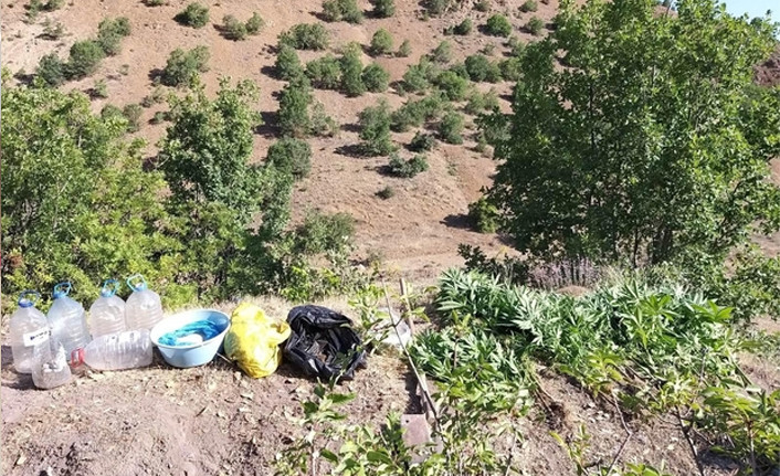 Elazığ'da zehir tacirlerine operasyon, 17 kilo esrar ele geçirildi - Resim : 1