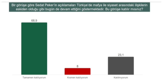 İşte Sedat Peker anketi... - Resim : 3