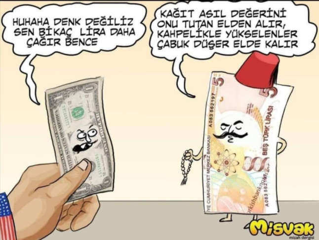 Misvak'tan dolar-TL karikatürü... Güldürmedi - Resim : 1