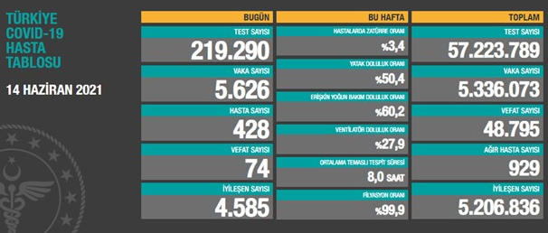 Türkiye'nin son koronavirüs tablosu açıklandı - Resim : 1