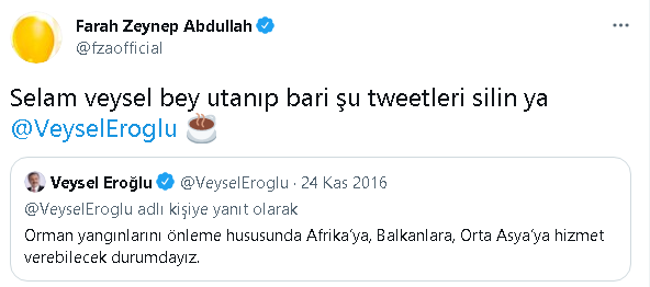 Farah Zeynep Abdullah'tan Veysel Eroğlu'na: Utanıp, bari şu tweetleri silin - Resim : 1