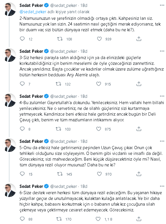 Sedat Peker: Hani ben ajandım?  - Resim : 2