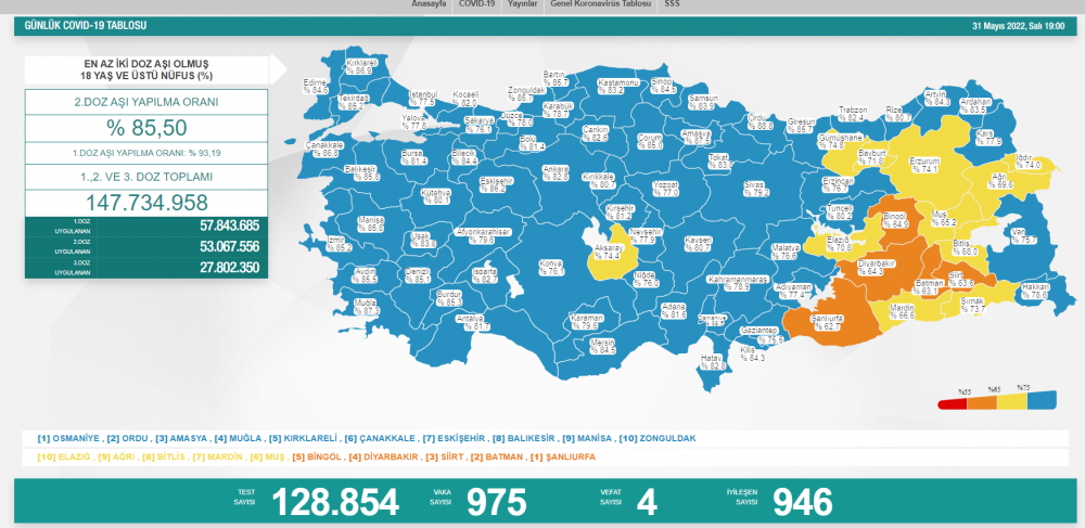 31 Mayıs koronavirüs tablosunu açıkladı - Resim : 1