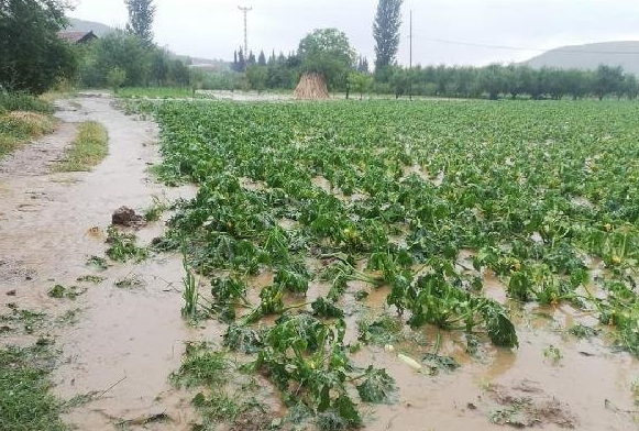 Bursa'da yaz ortasında kar yağdı - Resim : 3