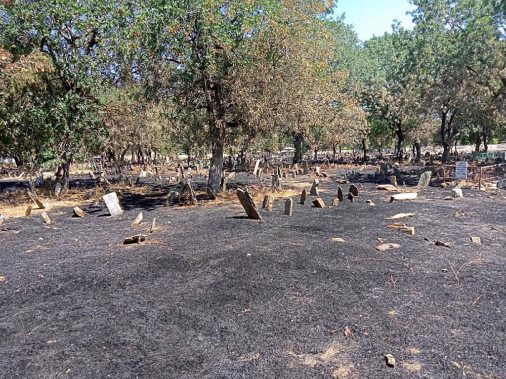 MHP'li belediye mezarlığı yakarak temizledi - Resim : 1