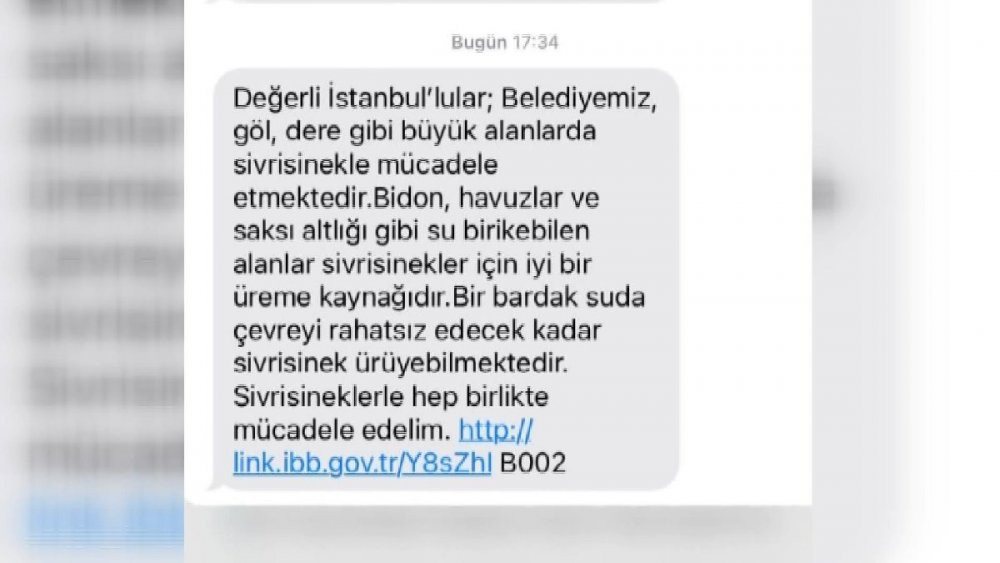 İstanbul’da bir çok ilçede görüldü: İBB uyardı - Resim : 1