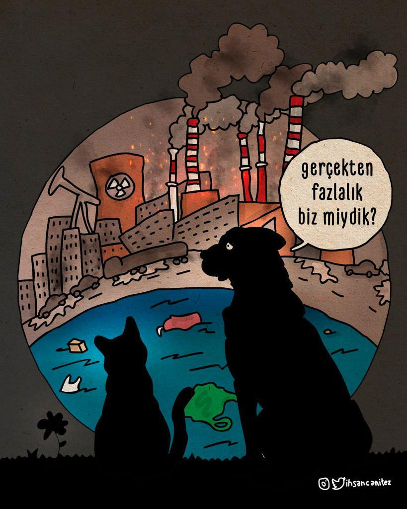 Sosyal medyayı sallayan karikatür - Resim : 1