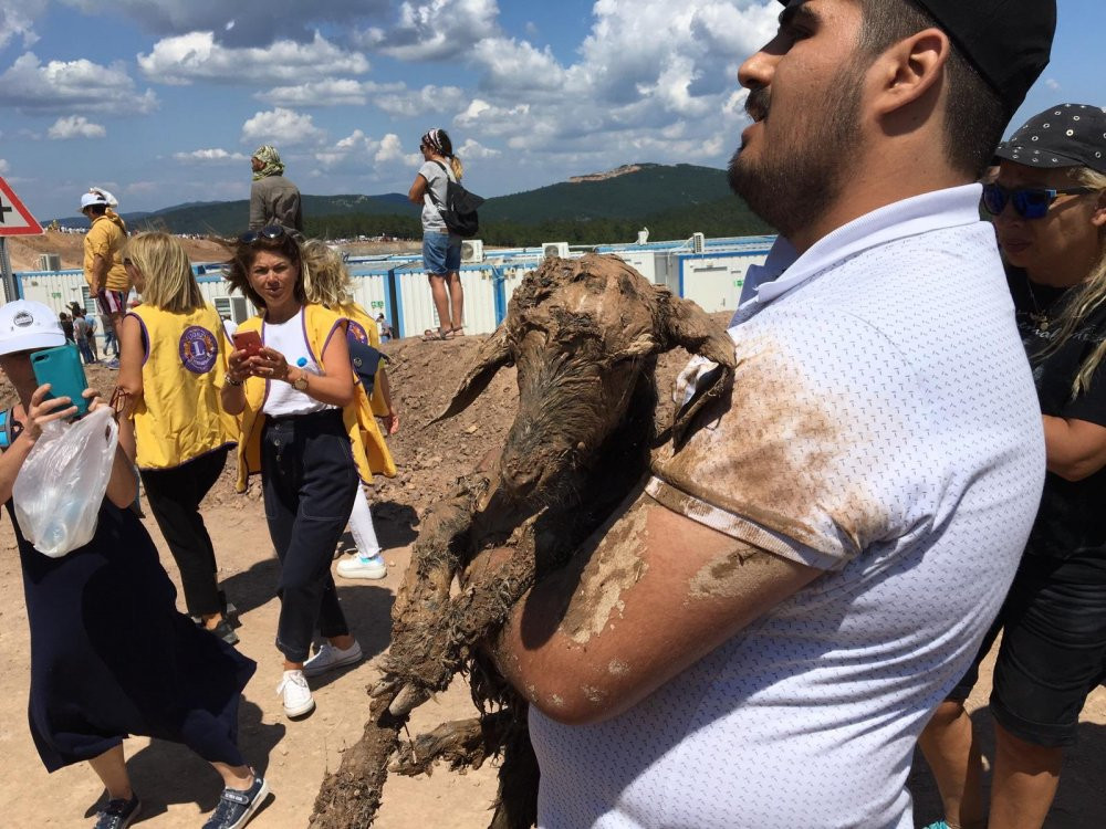 Kaz Dağları'ndaki Alamos şirketinin kazı alanına girince şok oldular - Resim : 2