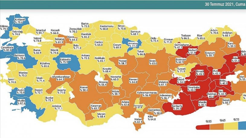 Koronavirüs risk haritasında rengi değişen iller - Resim : 1