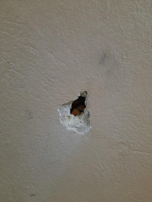 Diyarbakır'da sağlık çalışanlarına korkunç saldırı - Resim : 3