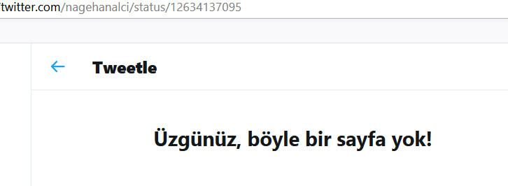 Nagehan Alçı: Bana soyun dediler ben de kızgınlıkla yazdım - Resim : 3