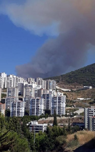 İzmir'den peş peşe yangın haberleri - Resim : 1