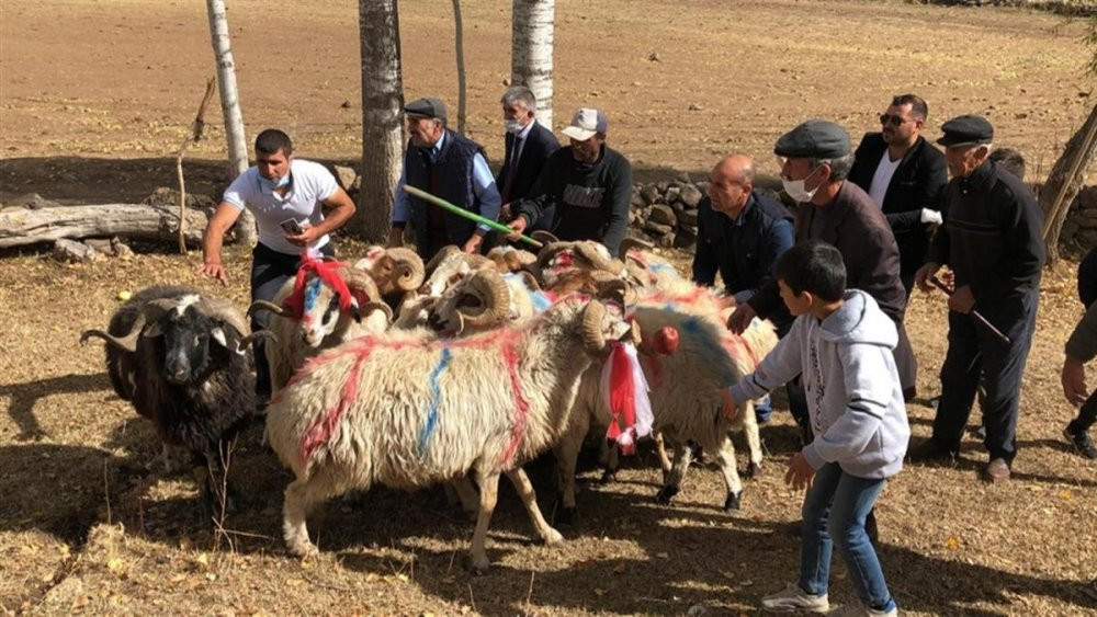 Geleneksel 'koç katımı' törenleri renkli görüntülere sahne oldu - Resim : 1