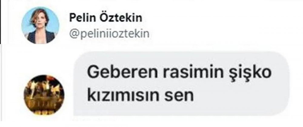 Rasim Öztekin'in oyuncu kızı Pelin Öztekin kendisine gelen iğrenç mesajı ifşa etti - Resim : 1