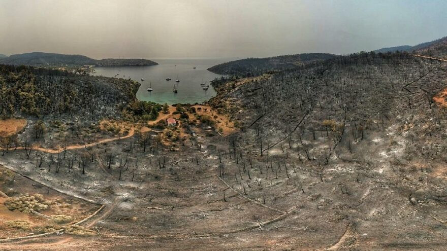 Bodrum ve Milas'ta yürek yakan görüntüler - Resim : 1