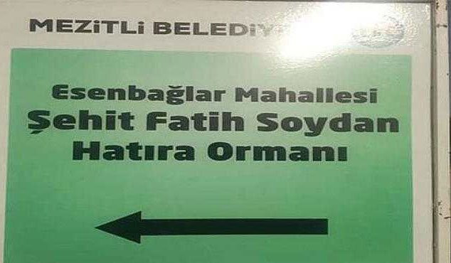 AKP’li müteahhit şehit ormanına göz dikti: Adım adım işgal... - Resim : 1