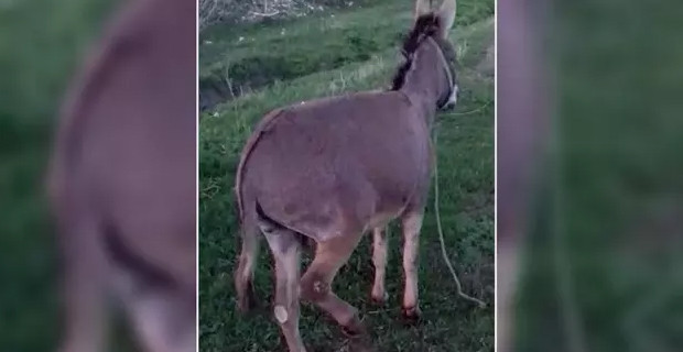 Bu iki olay da bugün Türkiye'de yaşandı - Resim : 1