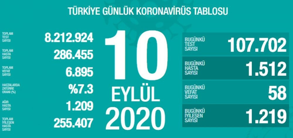 Koronavirüs rakamları hakkında şok iddialar - Resim : 2