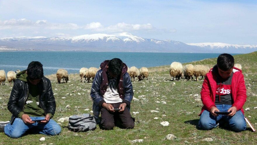 Hem çobanlık yapıyorlar hem ders çalışıyorlar - Resim : 1