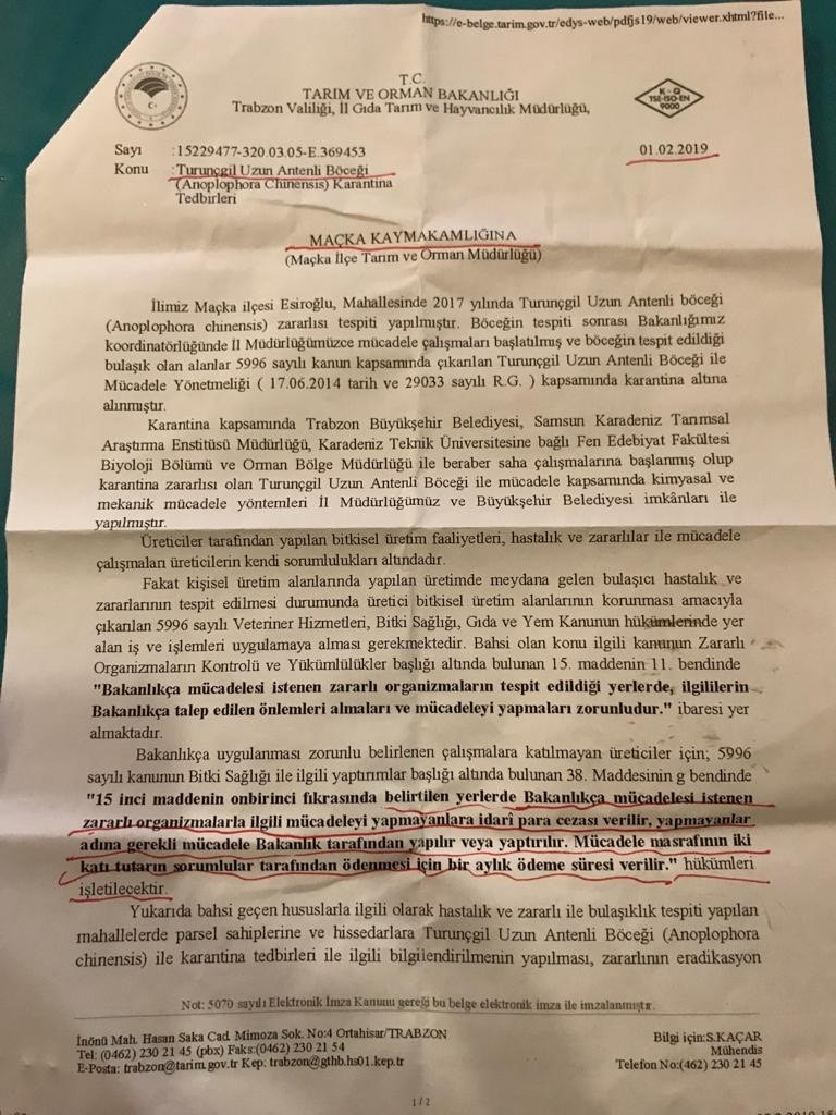 CHP’li Kaya, yetkilileri göreve çağırdı: Fındık'ta 'Drakula' kabusu! - Resim : 1