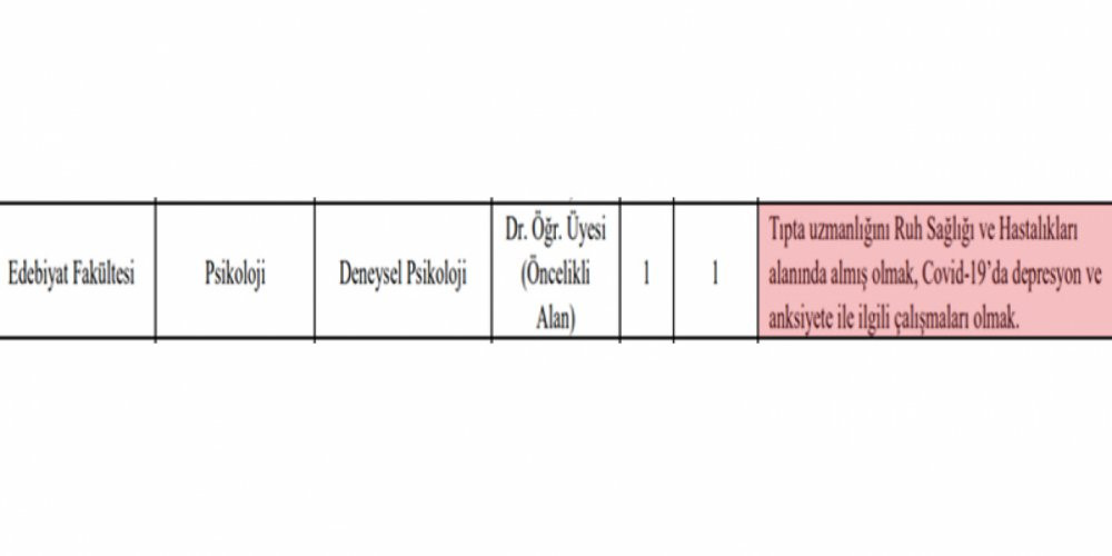 YÖK'ün uyarısını umursayan yok: Bir 'kişiye özel ilan' daha - Resim : 1