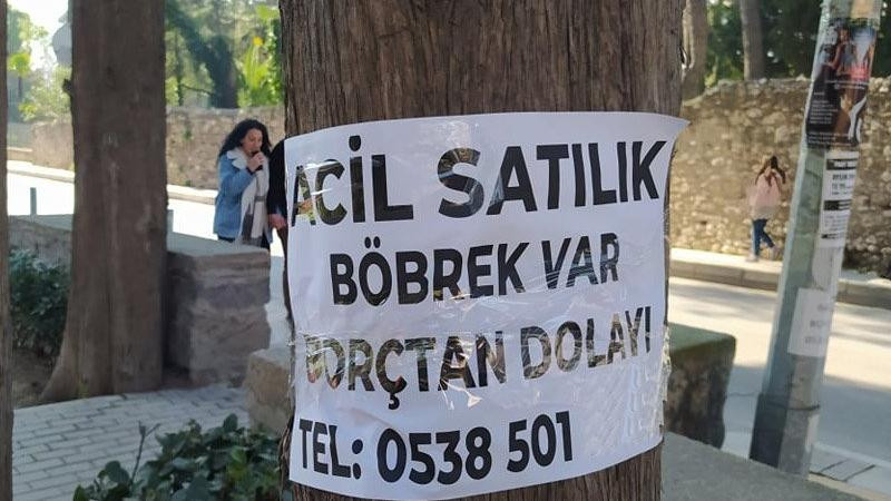 Sokak ilanı ile satılık böbrek... - Resim : 1