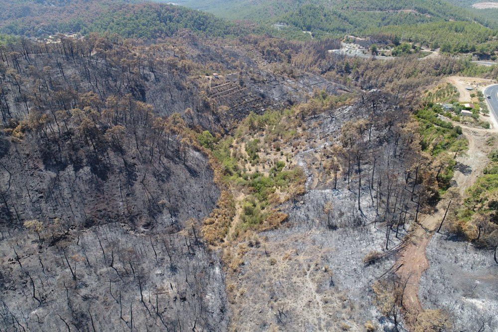 Marmaris'te acı tablo - Resim : 2