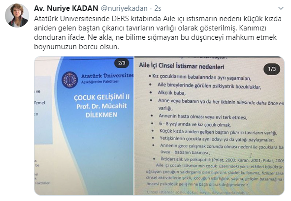 Profesörün ders notlarında istismara uğrayan çocuklar suçlandı - Resim : 3