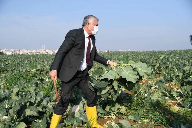 Kadınlar; tarlada, atölyede üretiyor, para kazanıyor - Resim : 1