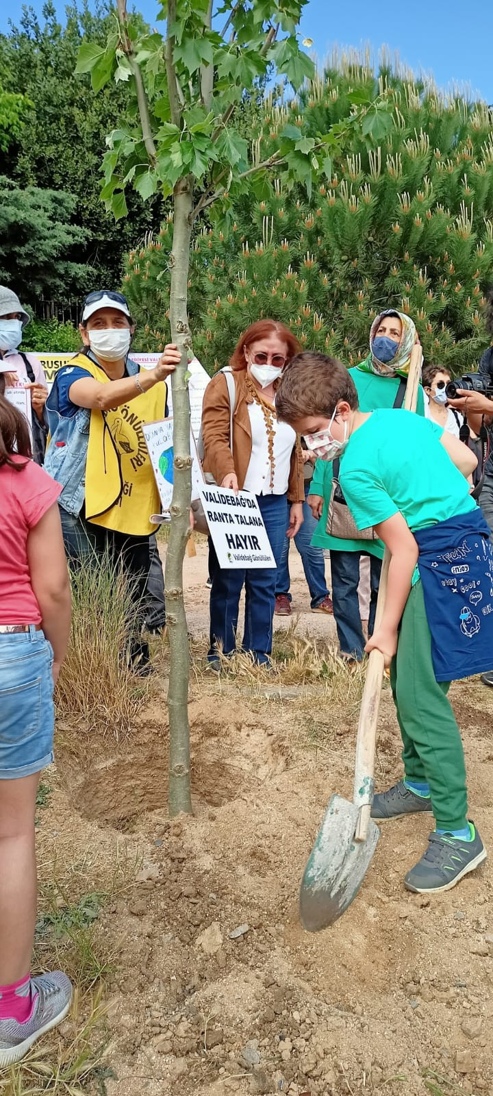 Validebağ Korusu'nda neler oluyor? AKP'li belediyenin planı ifşa oldu - Resim : 4