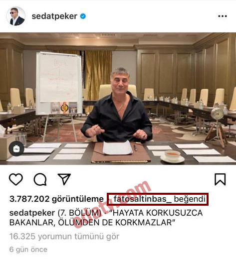 Altınbaş Yönetim Kurulu Başkanının kızı Sedat Peker'in videolarını beğendi - Resim : 1