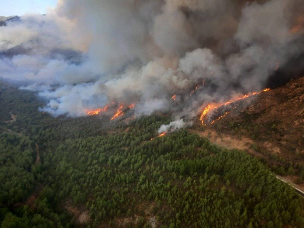 Marmaris’te orman yangını - Resim : 2