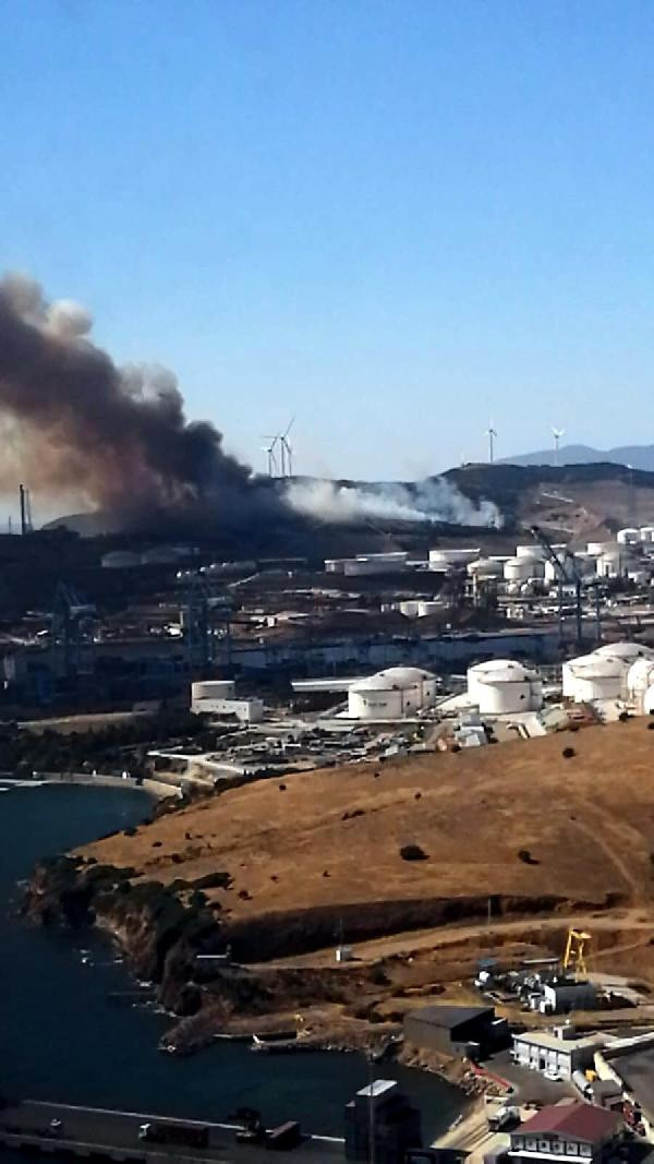 İzmir'den peş peşe yangın haberleri - Resim : 4