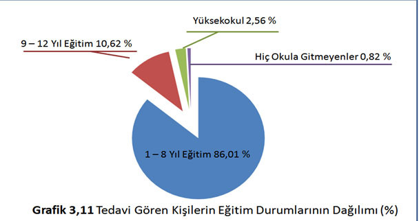 Uyuşturucu komisyonunu reddeden AKP’yi utandıracak tablo - Resim : 2