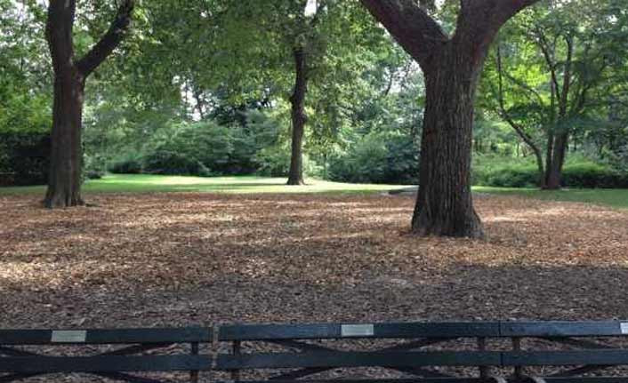 'Bir Türk aile, Central Park’ta 10 bin dolara bank satın aldı' - Resim : 1